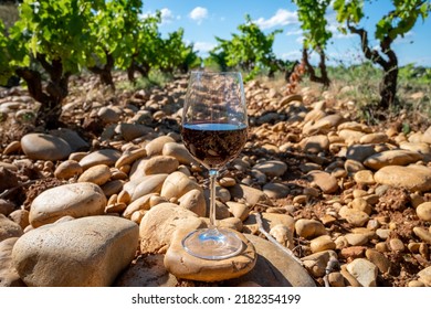 Glass of red dry wine and large pebbles galets and sandstone clay soils on green vineyards in Châteauneuf-du-Pape ancient wine making village in France