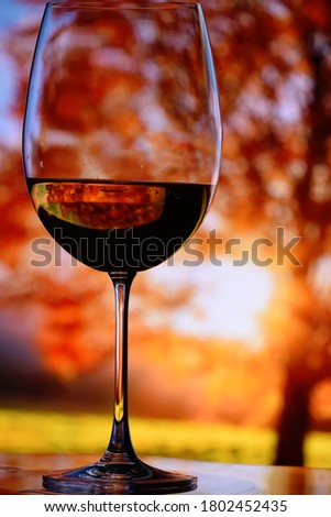 A glass with red wine on a background of bright autumn trees and sun rays. Artistic photo with soft selective focus.