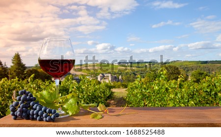 Glass of red wine and vine landscape in France.