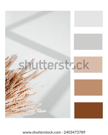 glass reflection shadow dry flower brown gray colour palette