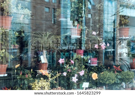 Glass shop window with flowers and reflection of the city.
