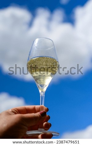 Glass of sparkling white wine with bubbles champagne and blue sky in Cote des Bar, Champagne region, France in summer