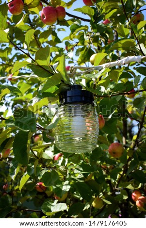 Glass street lamp against the apple tree branches with fruits  Imagine de stoc © 
