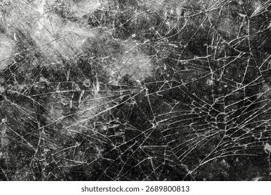 The glass surface is cracked with a complex random crack pattern. The texture of the broken glass is clearly visible with detailed fine crack lines spreading across the surface.