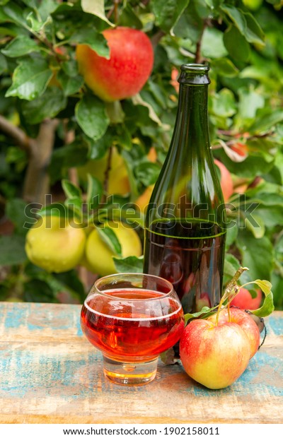 Glass of sweet rose apple cider from Normandy\
served in garden in France and green apple tree with ripe red\
fruits on background