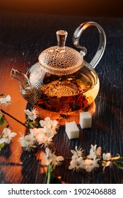 Glass teapot and cherry blossoms sleep against dark background in sunlight. Traditional tea drinking.