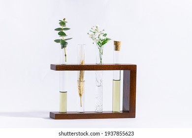 Glass test tubes with herbal extracts for alternative medicine and homemade organic cosmetic on white background.  - Shutterstock ID 1937855623