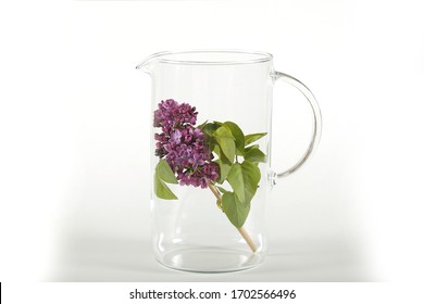 Glass Transparent Pitcher With A Plant Inside