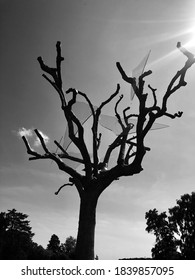 Glass tree with rays of sunshine