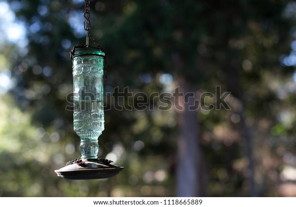 Glass Tubular Bird Feeder Stock Photo Edit Now 1118665889