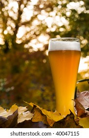 Glass Of Unfiltered Hefeweizen Beer Surrounded By Fall Leaves, Backlit