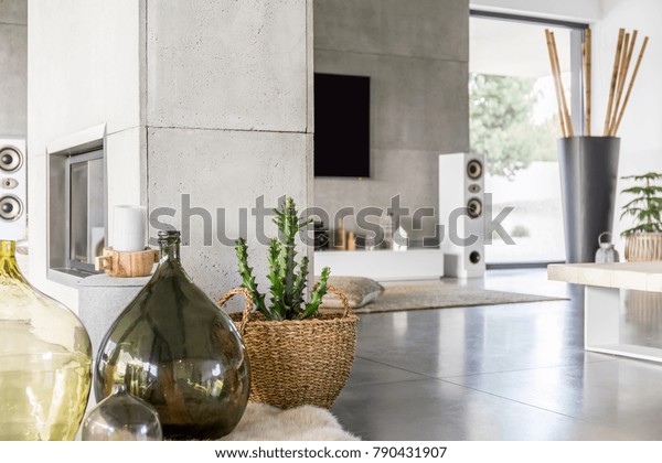 Glass Vase Cactus Braided Basket On Stock Photo Edit Now 790431907