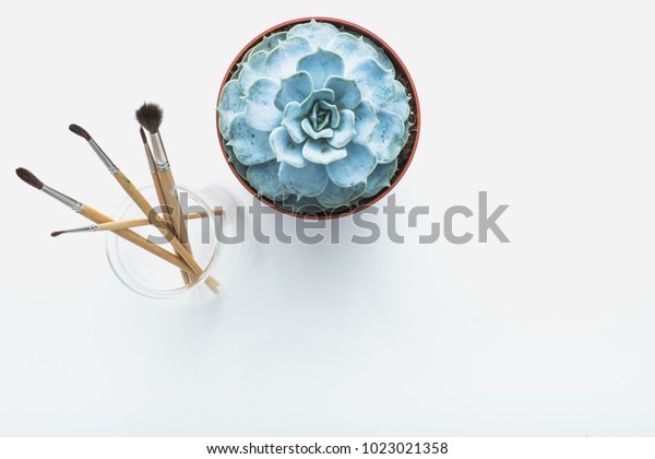 Glass Vase Paint Brushes Blue Succulent Stock Photo Edit Now