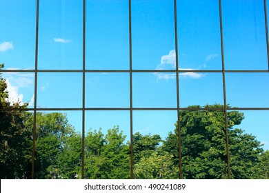 Glass Wall. Reflection Of Trees In The Window.