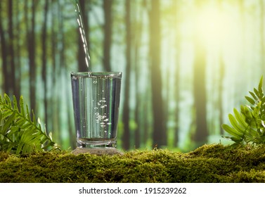 A glass of water on a moss covered stone. The forest background is blurred sunlight