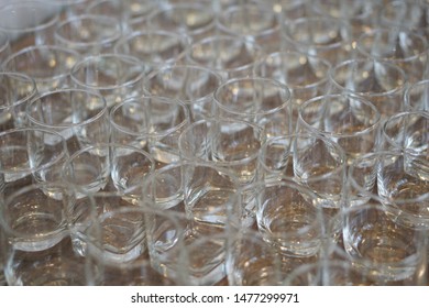 Glass Of Water That Is Lined Up