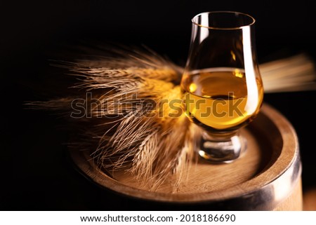 A glass of whiskey on old oak barrel with bunch of rye. Traditional alcohol distillery concept