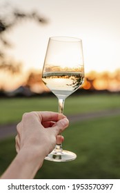 A glass of white wine in female hand.