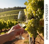 glass of white wine on table with green vineyard background