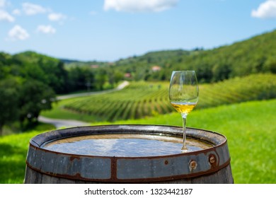 Glass Of White Wine On Vineyard In Istria, Croatia.