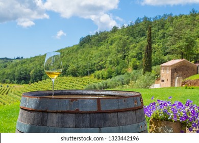 glass of white wine on vineyard in Istria, Croatia.