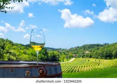 Glass Of White Wine On Vineyard In Istria, Croatia.