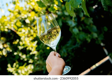 glass with white wine on a wooden barrel in the vineyard. - Powered by Shutterstock