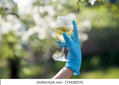 
Glass With Wine In The Hands. A Glass Of Water On Nature. Champagne Tasting