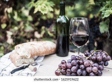 glass of wine and ripe grapes in the vineyard at summer - Powered by Shutterstock