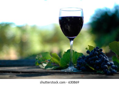 Glass Of Wine In The Vineyard On A Rustic Table With Petit E Noir Grapes.