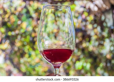 Glass Of Wine In A Winery Near Mendoza, Argentina