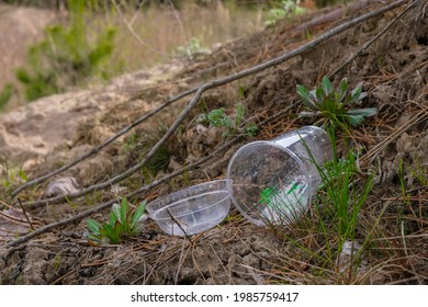 Glasses with bioplastic on nature background. Plastic-free.