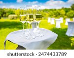 glasses of champagne on a tray at a garden party, with white tables in the blurred background. Ideal for events or celebrations