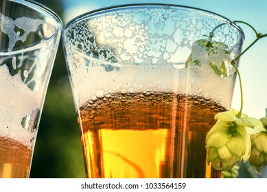 Brillen von kaltem Bier, Nahaufnahme. Bier-Degustationskonzept