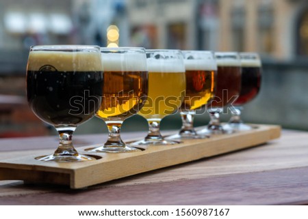 Glasses of Craft Beer in a Row Tasting 