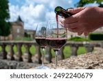 Glasses of french dry red wine in old wine domain on Graves vineyards in Portets village and old wine making castle on background, Bordeaux, France