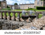 Glasses of french dry red wine in old wine domain on Graves vineyards in Portets village and old wine making castle on background, Bordeaux, France