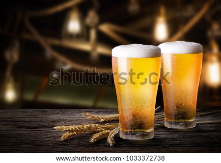 Glasses of light beer with barley on wooden table with copy space