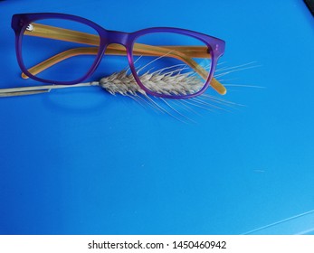 Glasses For The Sight On A Light Blue Background With Wheat Stalks
Modern Eyeglasses With Progressive Lenses