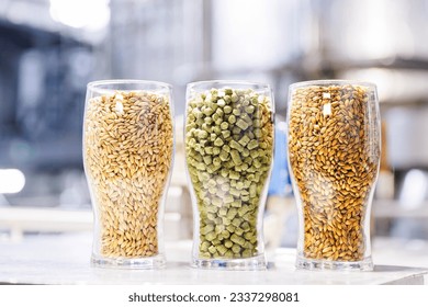 Glasses with various malted grain, wheat. Craft beer brewing from grain barley malt. Ingredients for brewers factory. - Powered by Shutterstock