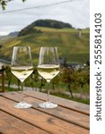 Glasses of white dry riesling wine made on Moselle river valley in Germany or Luxembourg, view on terraced vineyards in Nittel