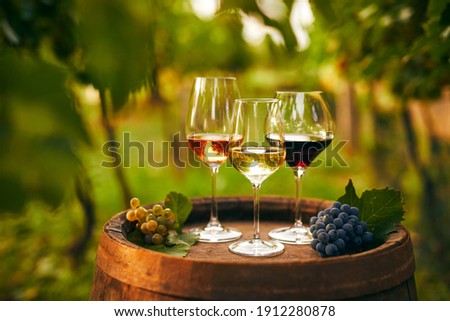 Glasses of white, pink and red wine on an old wooden barrel in the vineyard
