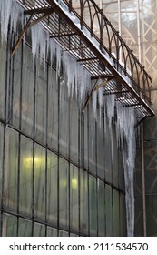Glasshouse Wall Covered With Icicles. Old Orangery During Winter Season With Bright Uv Light Inside For Heat, Climate Regulation And Exotic Tropical Plants Growth. Botany And Wintertime Concept