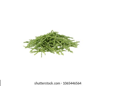 Glasswort Bunch Messy