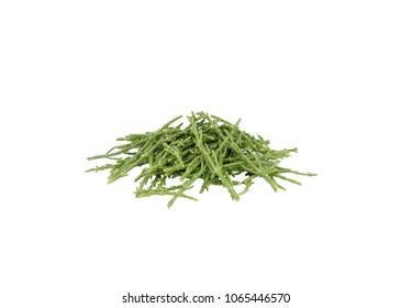 Glasswort Bunch Messy