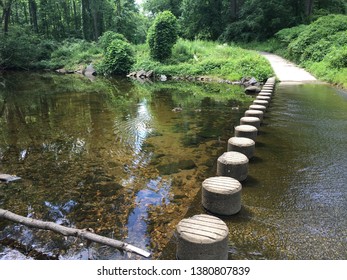 Glassy Waters Running Trough Stepping Stones On The Holmes Run Trail In Fairfax VA During The Summertime. Crystal Clear Waters With A Family Of Ducks In It, And Bright Green Forest In The Background.