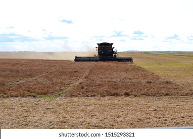 Gleaner Combine On Lentil Field With Blue Sky