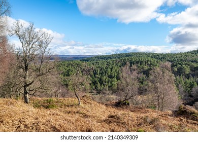 Glen Affric from the Dog Falls Walk in the Highlands, Scotland - Shutterstock ID 2140349309