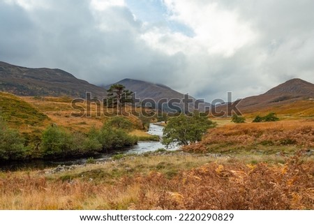 Glen Strathfarrar in the Scottish Highlands. Autumnal scene with golden bracken and grasses, low misty clouds, high mountains, Scots Pines bordering the River. Landscape, horizontal, Space for copy.