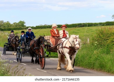 Glencaple, Scotland - June 5, 2022 : Skewbald Gypsy Cob Pony 
Pulling A 2 Wheeled Gig With Lady Driver And Lady Passenger Followed By 2 Other Pony And Traps